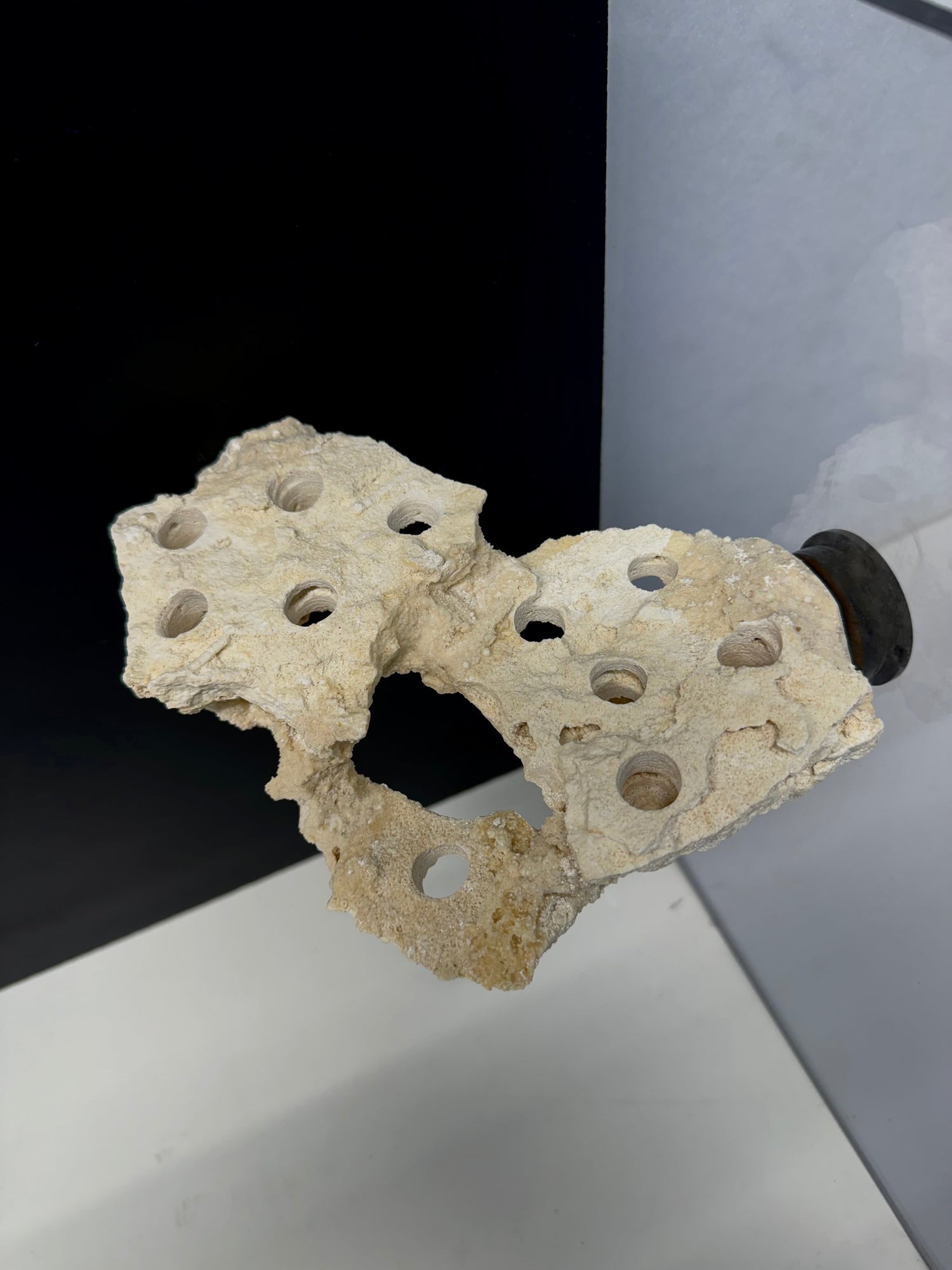 Frag Holders