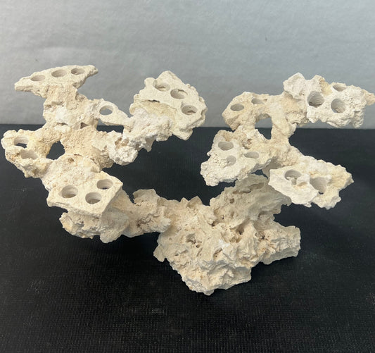 Frag Island Coral Plug Holder