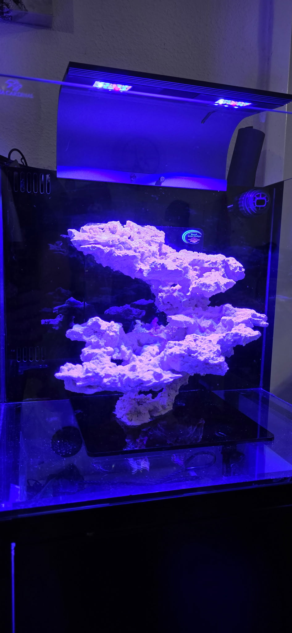 Reef Scape Examples Saltwater Aquascaping: Making a beautiful and functional aquascape ...