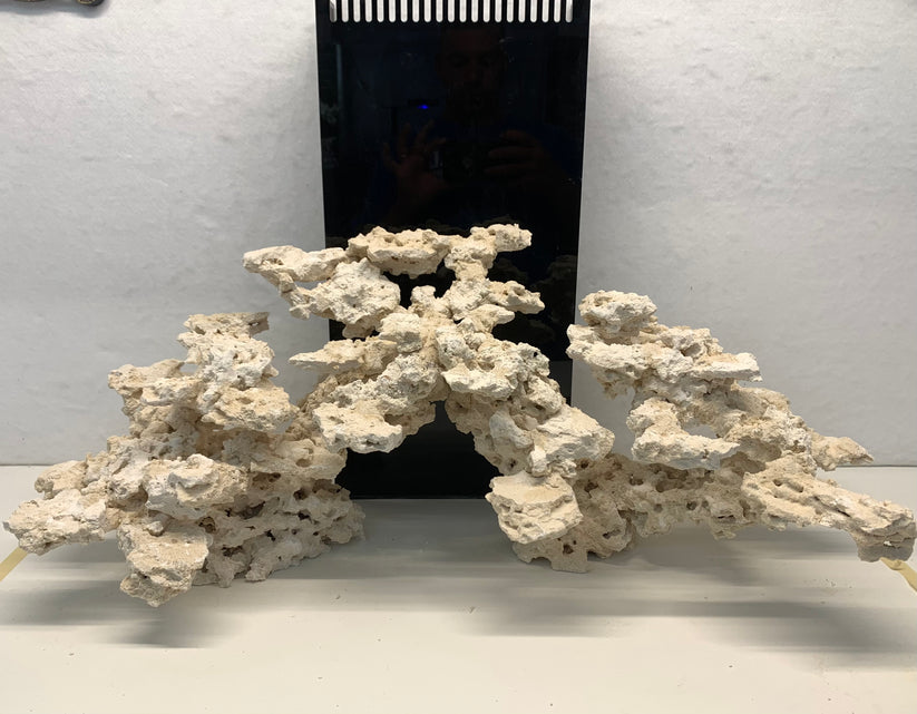 Dragon Edition. – Reef Scape Designs