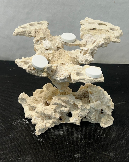 Frag Island Coral Plug Holder
