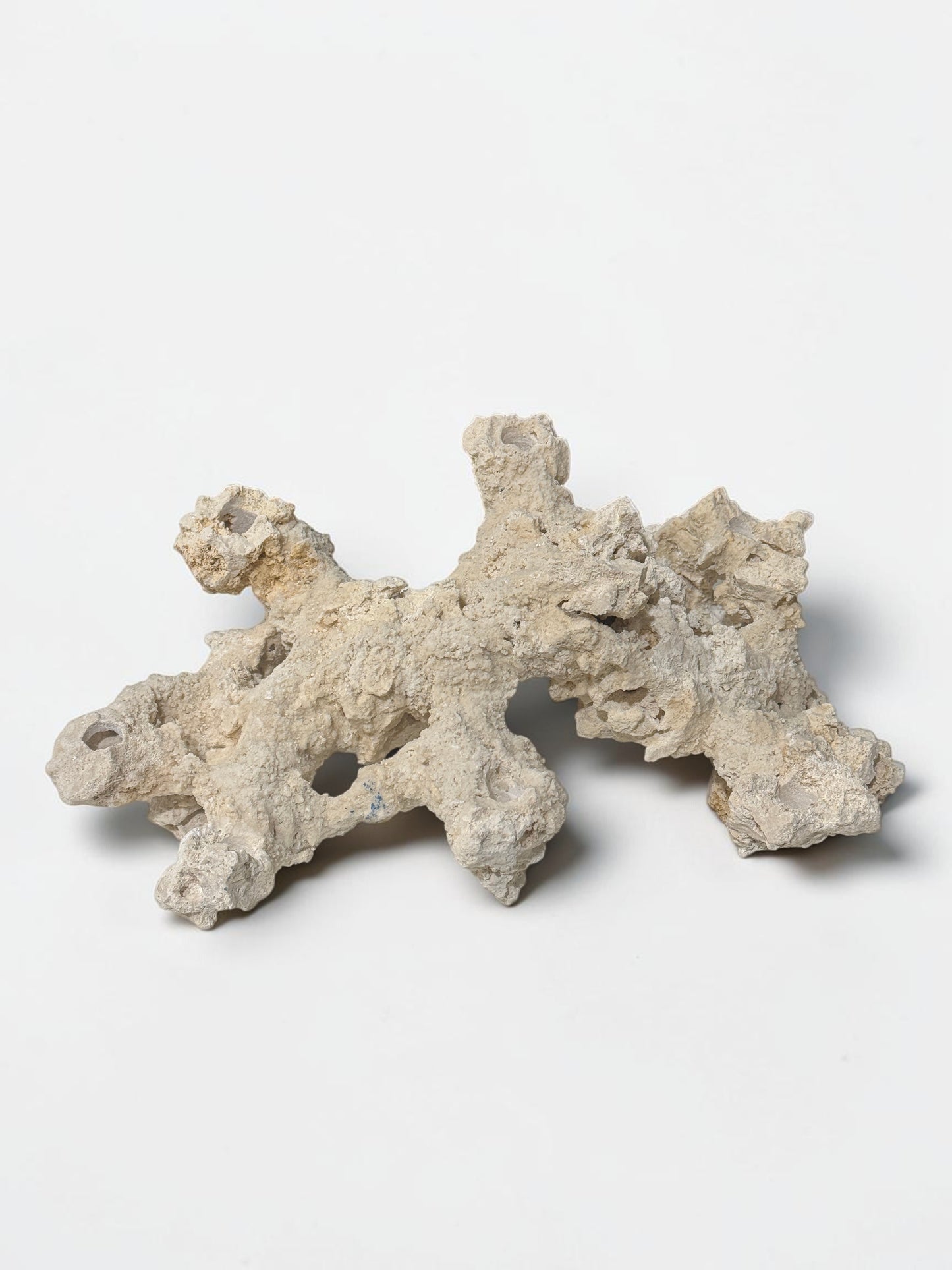 Poseidon Arch Frag Rock