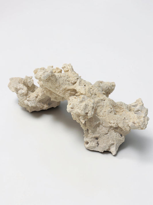 Poseidon Arch Frag Rock