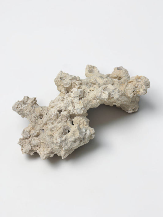 Poseidon Arch Frag Rock