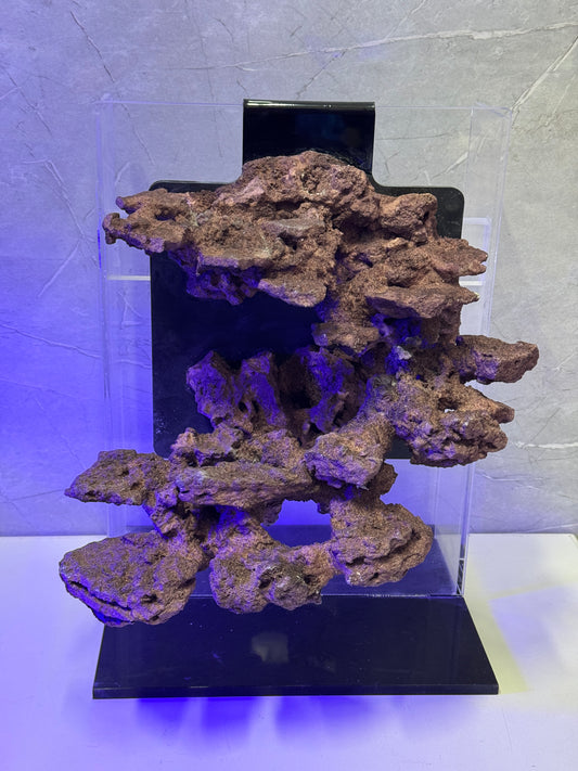 Floating Aquascape