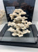 Mini Max Dragon Structure