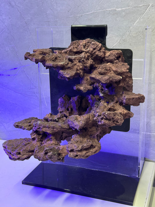 Floating Aquascape