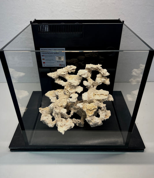 Mini Max Dragon Structure