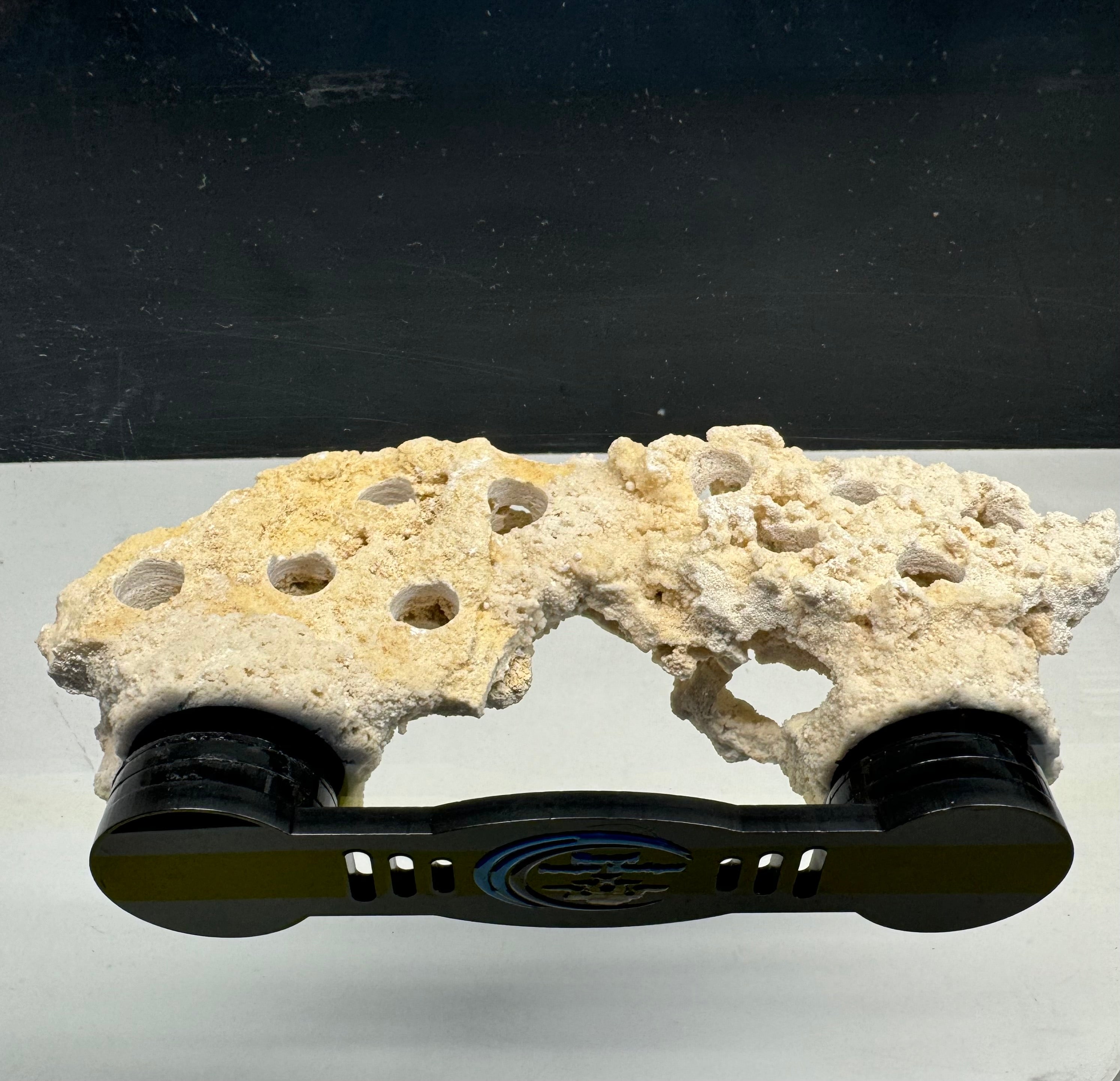 Magnetic Coral Frag rack