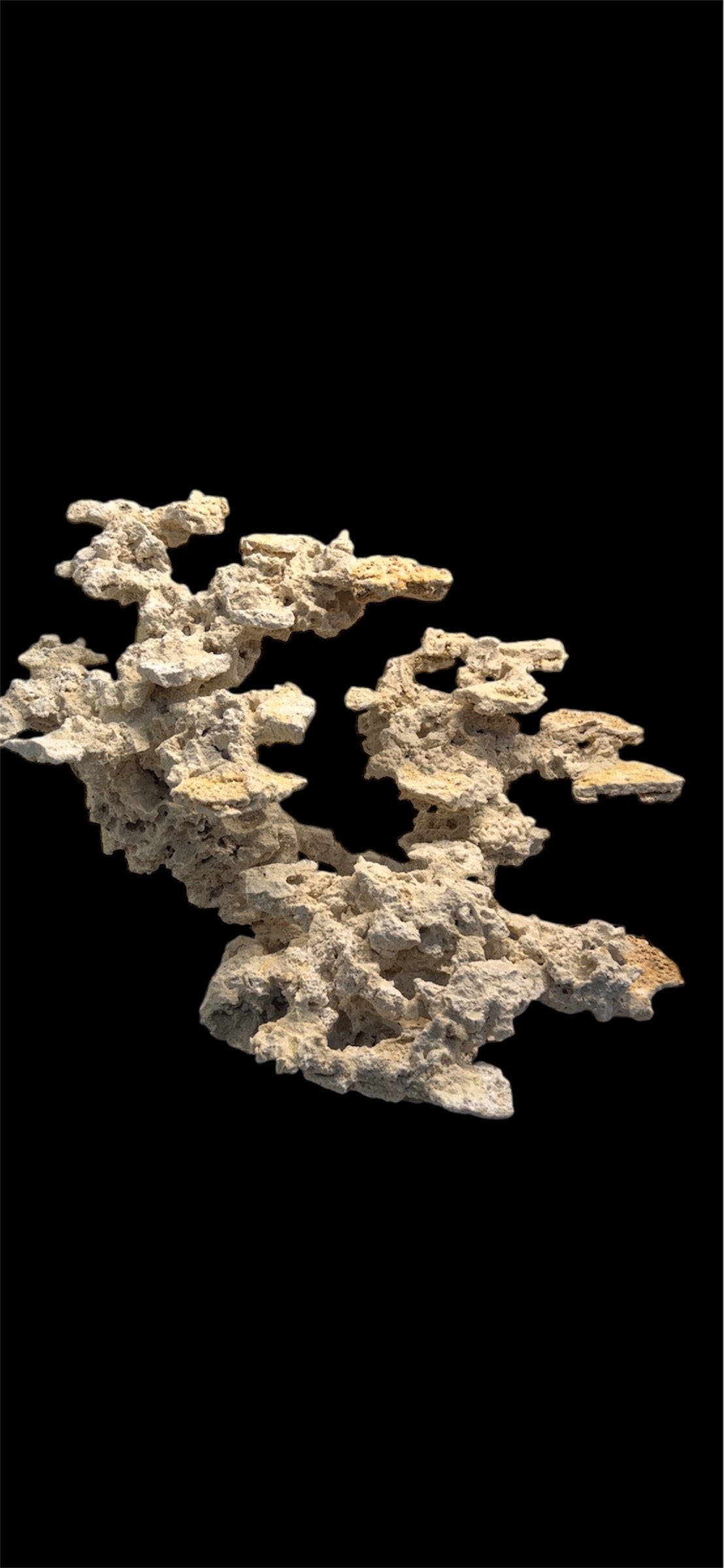 Cave Haven