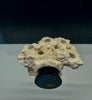 Magnetic Coral Frag rack