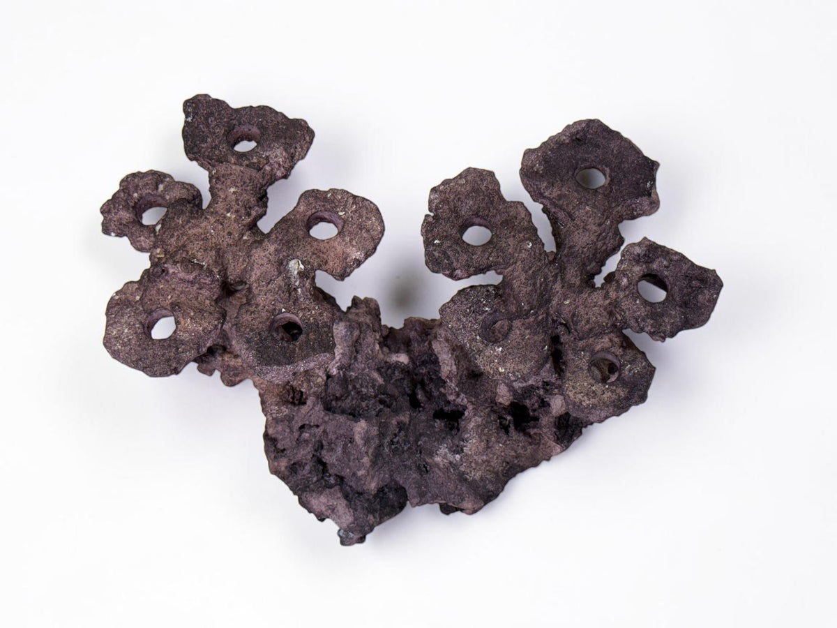 Frag Island Coral Plug Holder