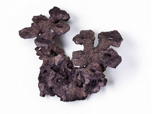 Frag Island Coral Plug Holder