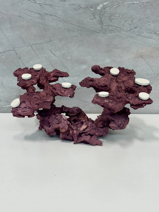 Frag Island Coral Plug Holder