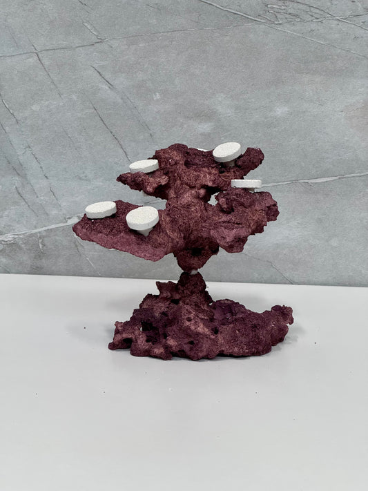Frag Island Coral Plug Holder