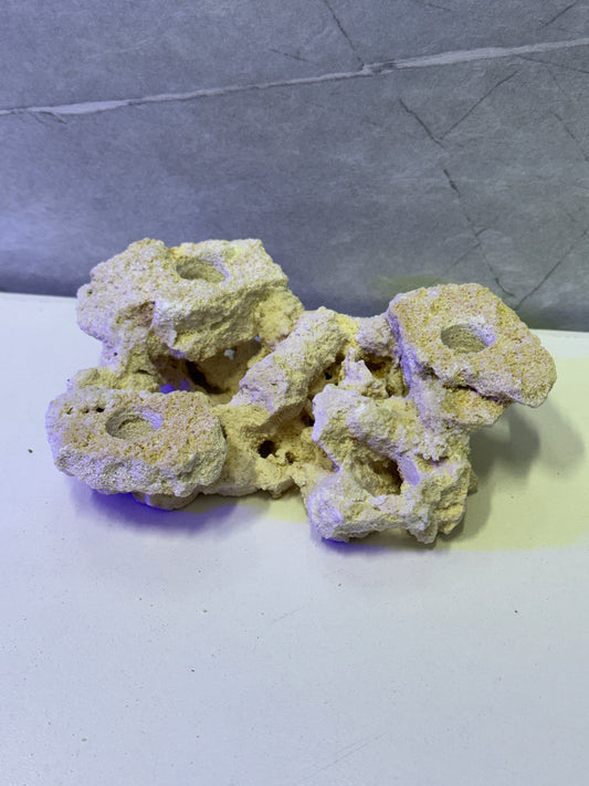 Mini Frag Plug Island – Reef-Safe & Coral-Ready