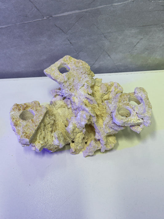 Mini Frag Plug Island – Reef-Safe & Coral-Ready