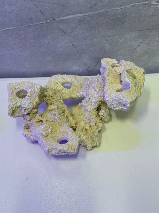 Mini Frag Plug Island – Reef-Safe & Coral-Ready