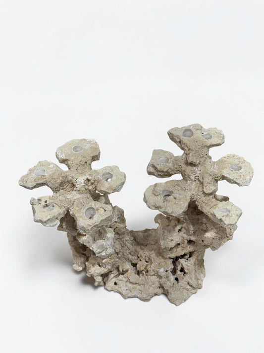 Frag Island Coral Plug Holder