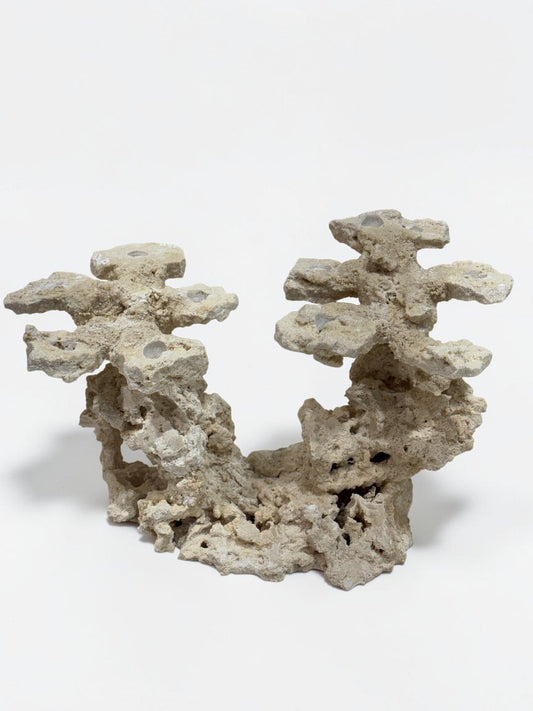 Frag Island Coral Plug Holder