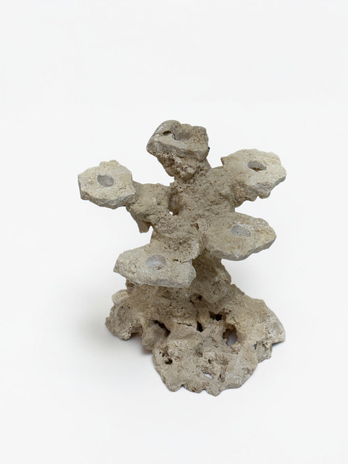 Frag Island Coral Plug Holder