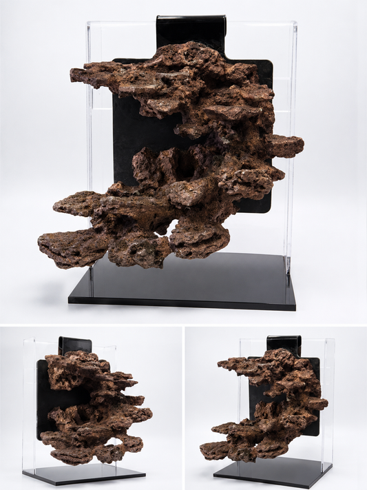 Floating Aquascape